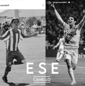 ESE (Camello)