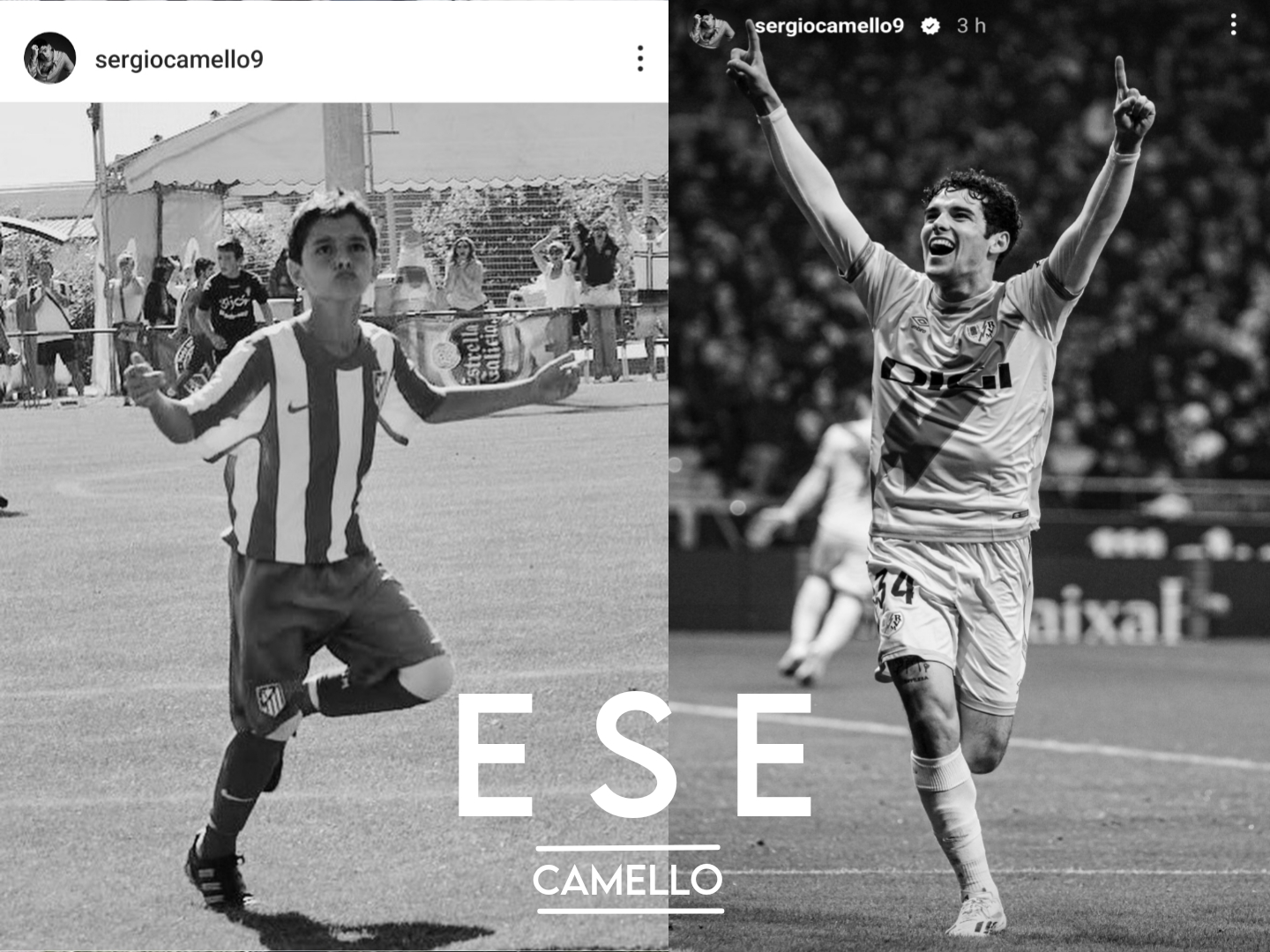 ESE (Camello)