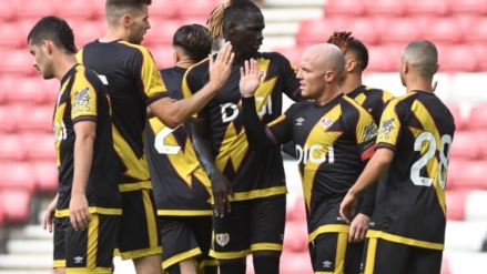 Gaviotas en Sunderland