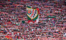 La única bandera que haremos ondear